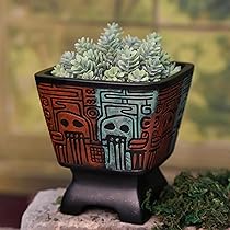 Amazon.co.jp: forkai スカルパターン プランター 5インチ 屋内植物用